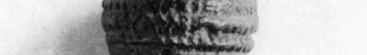 Particolare dei capelli della Venere di Willendorf