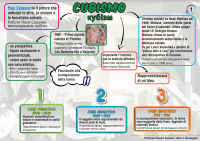 slide sul cubismo con traduzione in ucraino