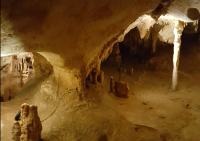 grotta del Pech Merle
