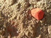 terrarossa con piccolo sasso rosso